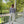 Load image into Gallery viewer, The Sweatpant