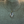 Load image into Gallery viewer, Conch Shell with 3 Black stones