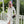 Load image into Gallery viewer, Katerina Button Down Dress in White