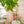 Load image into Gallery viewer, Round Pagoda
