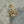 Load image into Gallery viewer, Aquamarine Chocolate and White Shell
