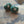 Load image into Gallery viewer, Turquoise and Crystal Snail Earrings
