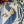 Load image into Gallery viewer, Pearl and Lapis Shell Pierced Earrings
