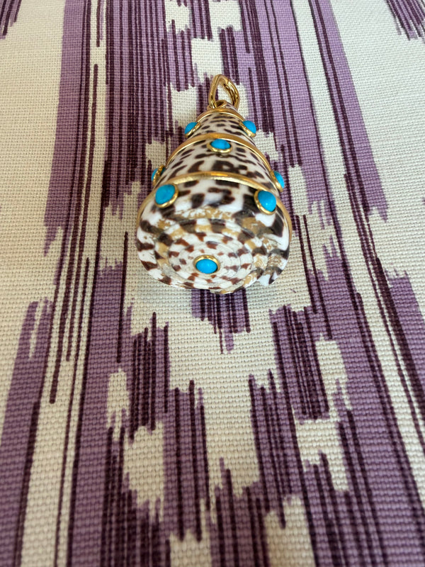 Chocolate and White Shell