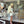 Load image into Gallery viewer, Cream Wool Crepe Blazer
