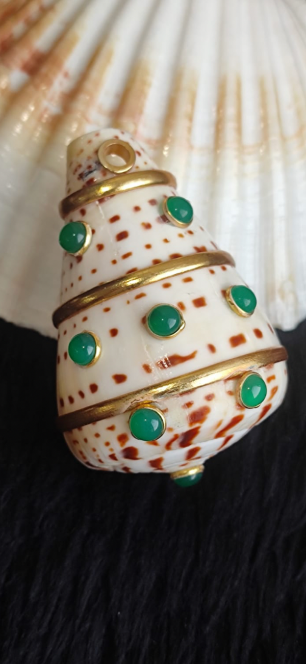 Green and White Shell