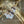 Load image into Gallery viewer, Chocolate and white Shell with No stones
