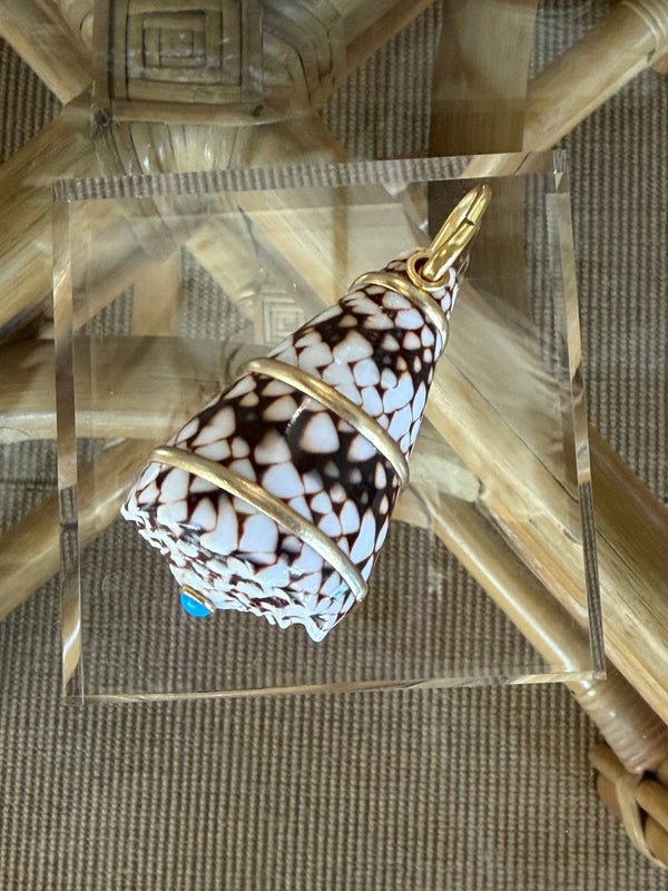 Chocolate and white Shell with No stones
