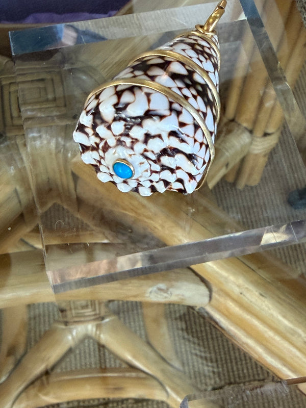 Chocolate and white Shell with No stones