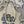 Load image into Gallery viewer, White and gold beaded necklace
