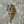 Load image into Gallery viewer, Lapis Chocolate and White Shell

