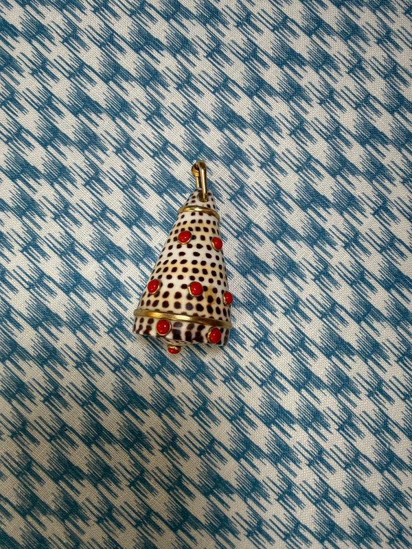Coral and White Shell