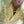 Load image into Gallery viewer, Yellow Big Beads
